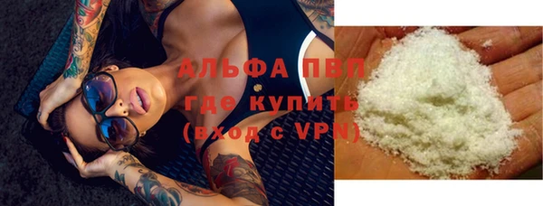 стафф Вяземский