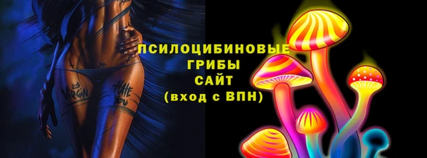 стафф Вяземский