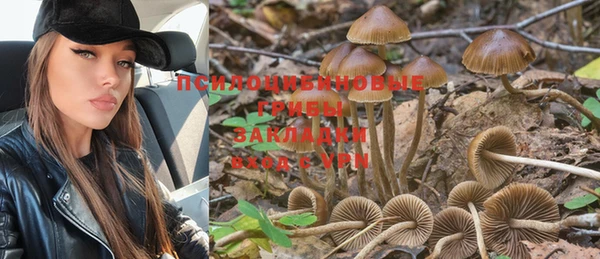 стафф Вяземский