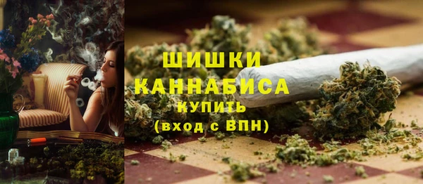 мдпв Вязьма