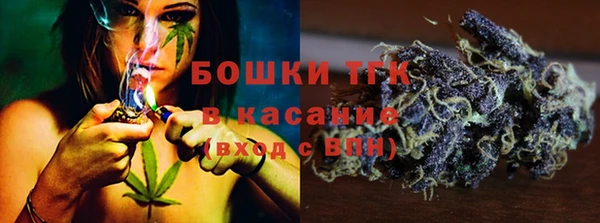 стафф Вяземский